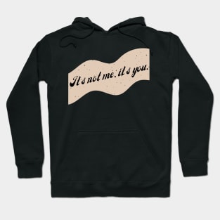 It's Not Me, It's You. Hoodie